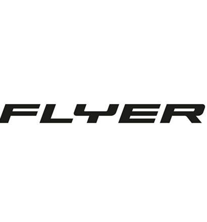 Flyer AG Logo