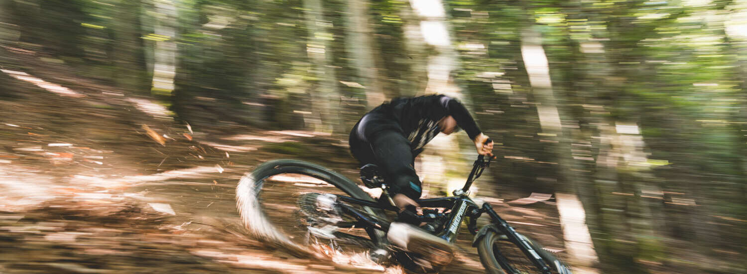 Nukeproof Megawatt Carbon 2024