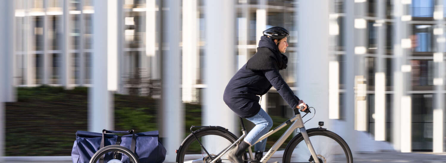 VEOLO Fahrradanhänger