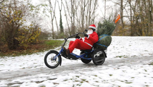 Weihnachtsbaumtransport – E-Cargobikes als perfekte Begleiter
