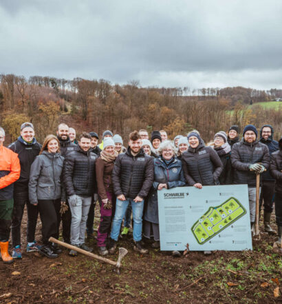 Pflanzaktion Schwalbe-Wald