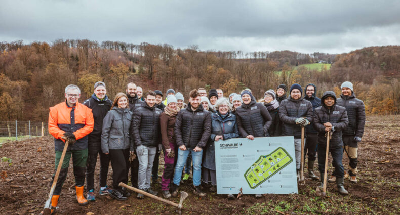 Pflanzaktion Schwalbe-Wald