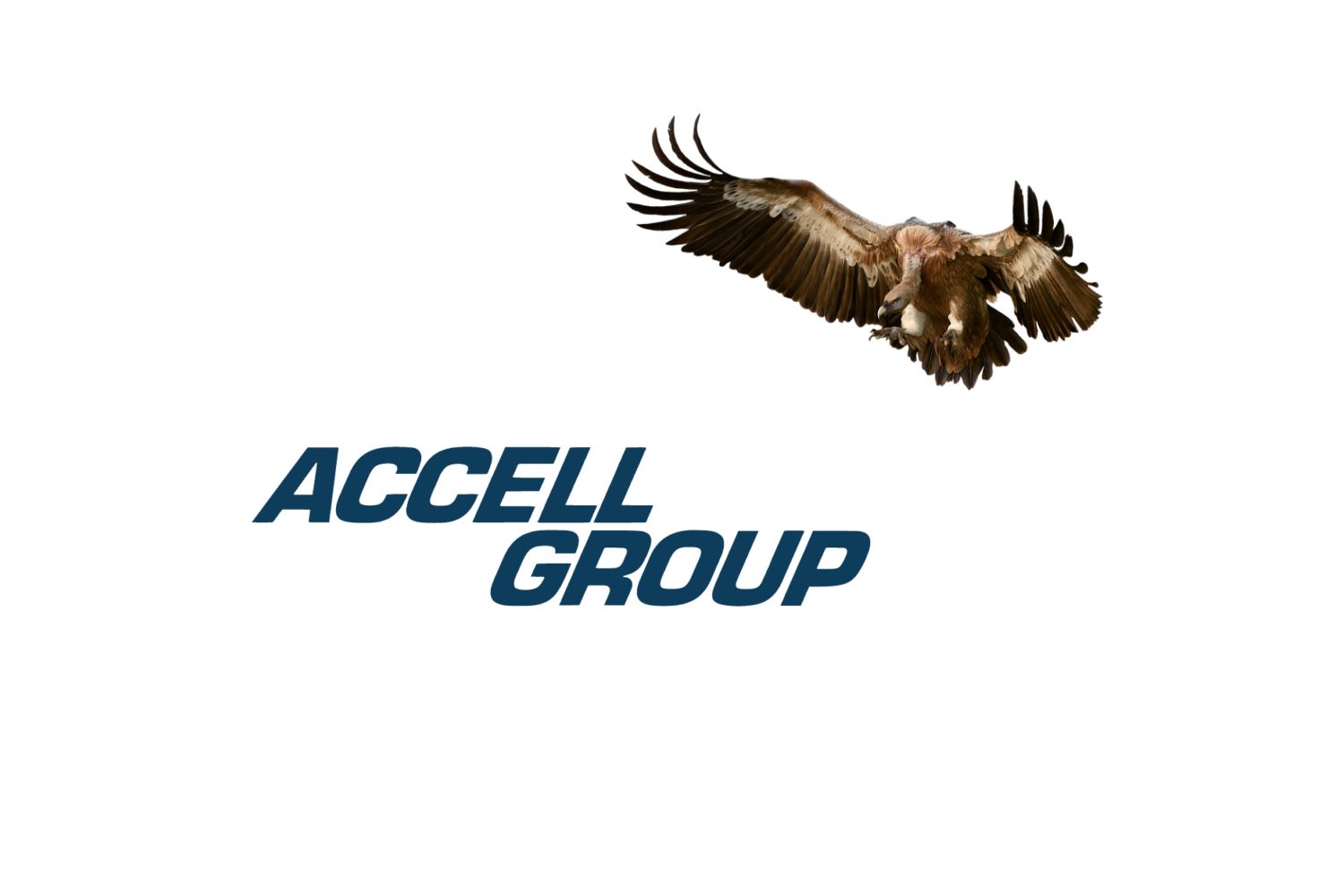 Accell Group 2023 Fitch CCC