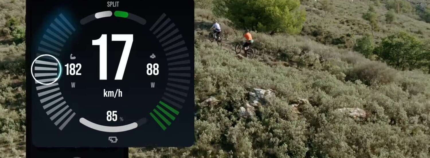 FAZUA App 2024 Update