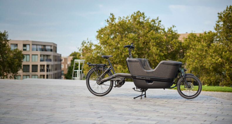 Gazelle Makki Travel 2024