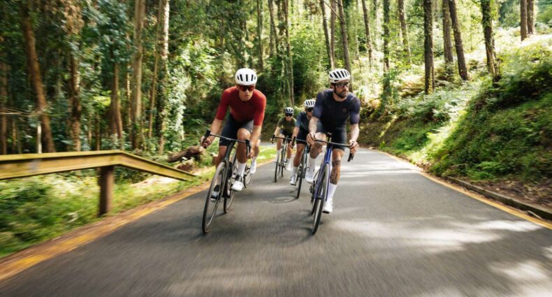 SCOTT ULTD. Collection 2024