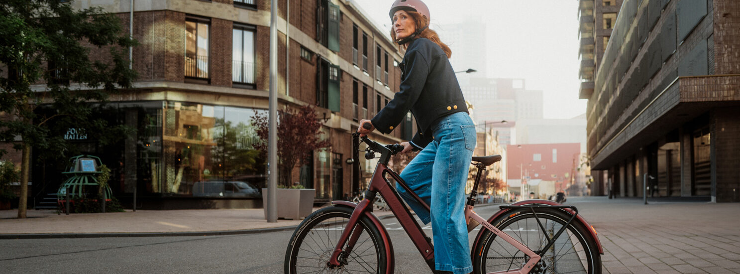 Winora iRide Pure 2024