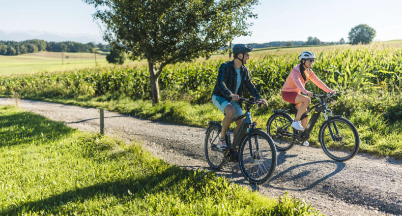 Rebike x Decathlon