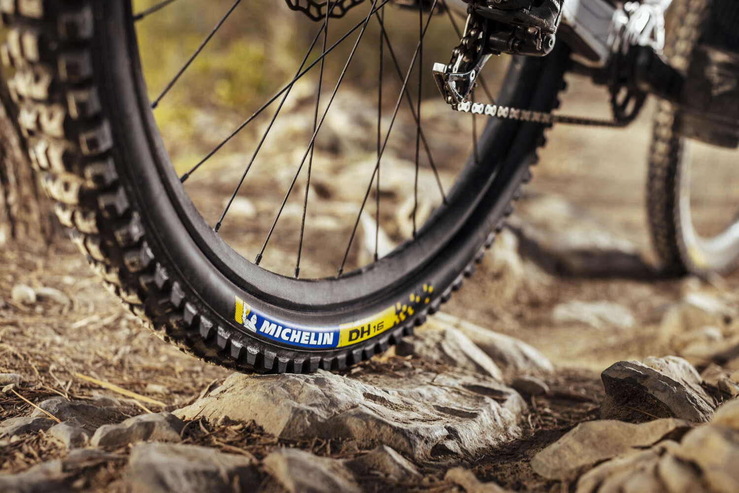 Michelin DH Racing Line 2024