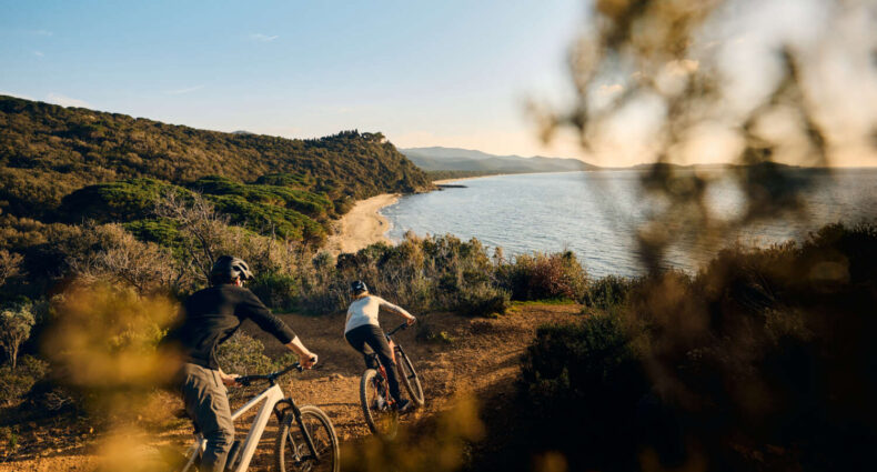 Rose Bonero Plus 2024