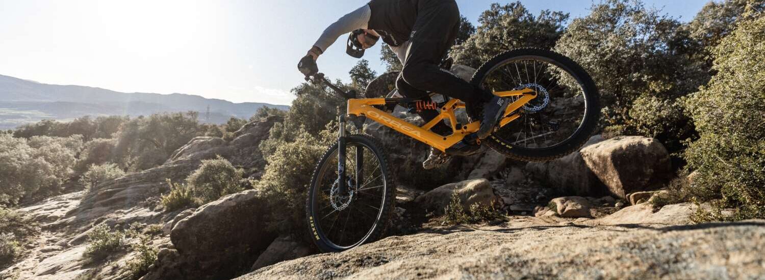 Orbea Rise 2025