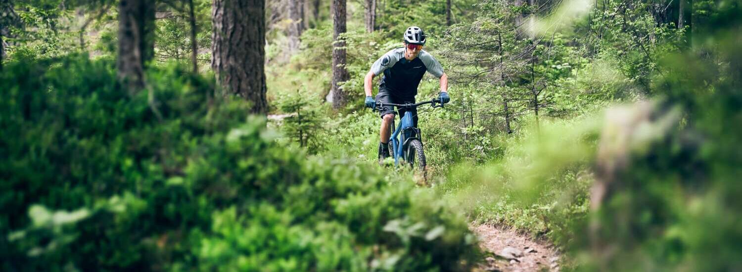 ZF Bike Eco System CentriX 2025