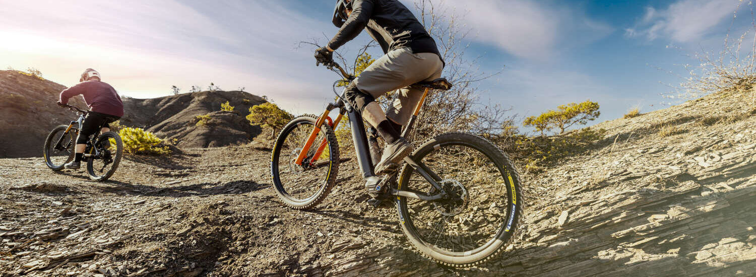 MICHELIN E-WILD Racing Line 2024