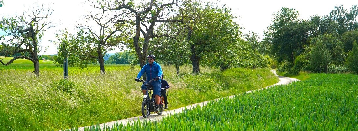 Cannondale Cargowagen NEO 1 Test