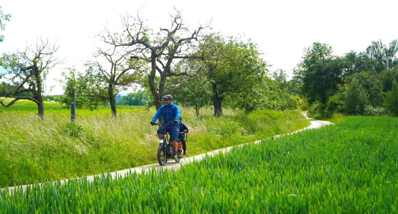 Cannondale Cargowagen NEO 1 Test