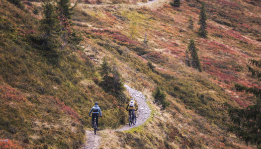 Vorfreude auf Mountainbike-Herbst in Saalfelden Leogang