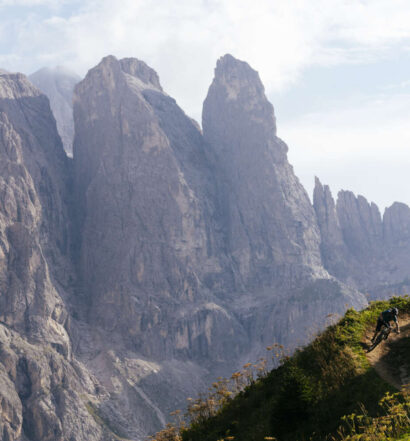 Trek Powerfly FS / HT 2025