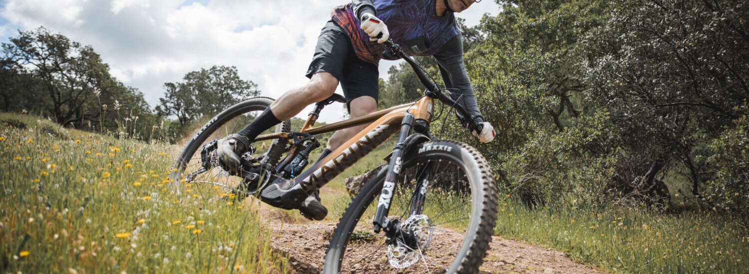 Marin Rift Zone EL 2025