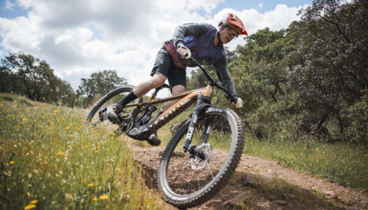 Marin 2025 – neue Rift Zone EL Light-E-MTB-Modelle mit Bosch SX vorgestellt