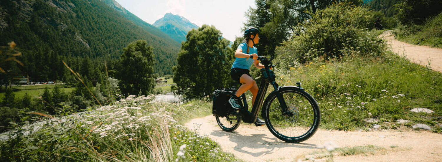 Cannondale Tesoro Neo 2025