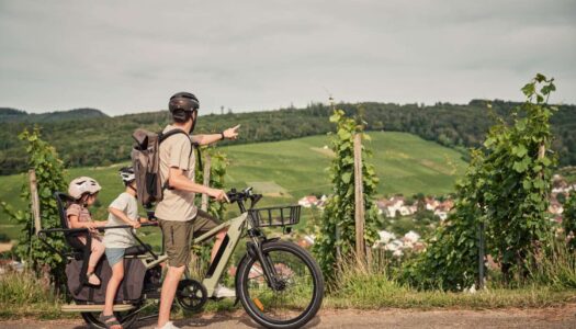 JobRad veröffentlicht seinen Nachhaltigkeitsbericht