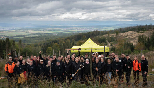 BusinessBike und Bergwaldprojekt e.V. stärken den heimischen Wald