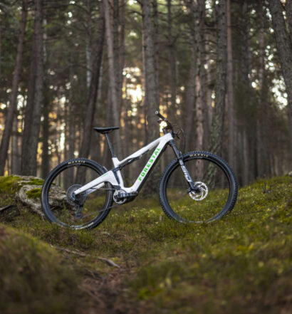 Forestal e-Cygnus 2025
