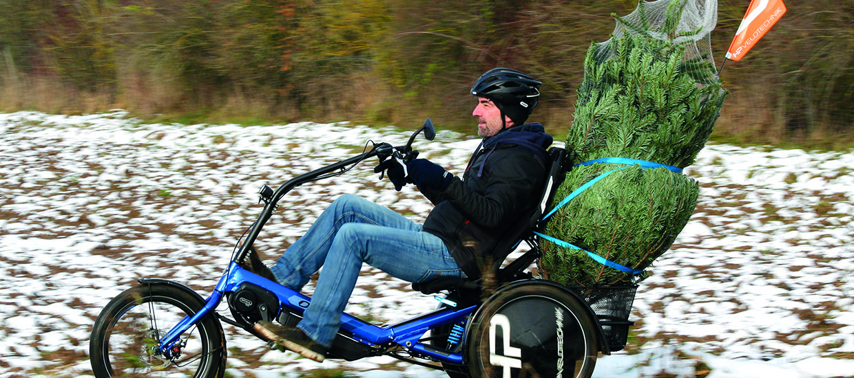 HP Velotechnik Delta tx Weihnachtsbaum 2024