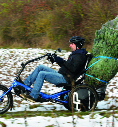HP Velotechnik Delta tx Weihnachtsbaum 2024