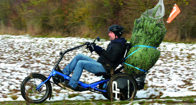 HP Velotechnik Delta tx Weihnachtsbaum 2024