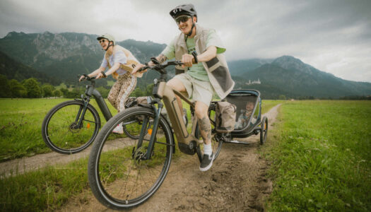 ROCKRIDER E-ACTV 900: Innovatives E-Trekkingbike mit automatischer Gangschaltung