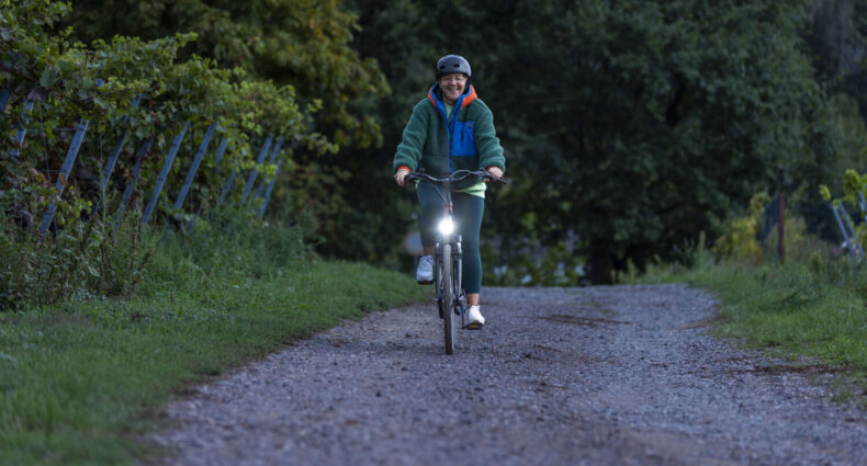 SIGMA EOX® FL 100 2024