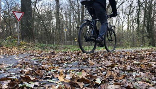 ADFC: Kommunen schwächeln bei Ausbau und Pflege der Radwege