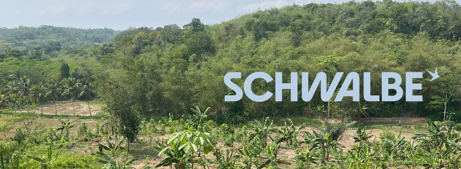 Schwalbe Agroforstwirtschaft 2024 Resumee