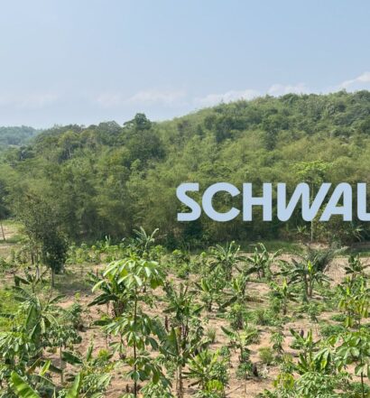 Schwalbe Agroforstwirtschaft 2024 Resumee