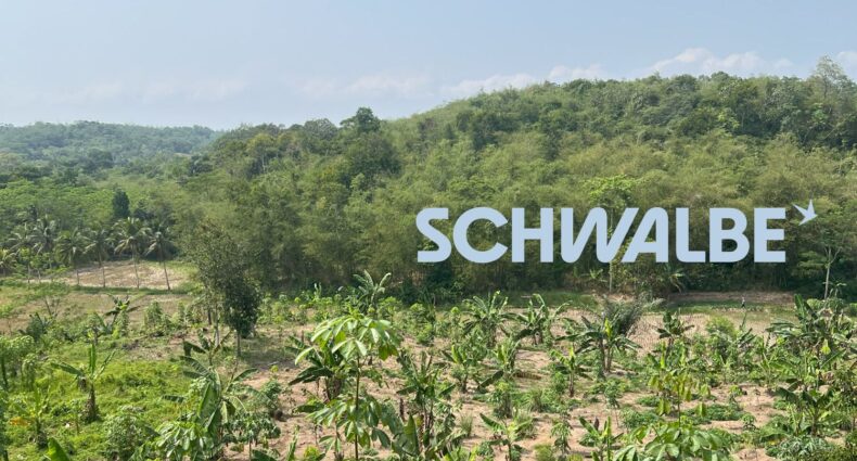 Schwalbe Agroforstwirtschaft 2024 Resumee