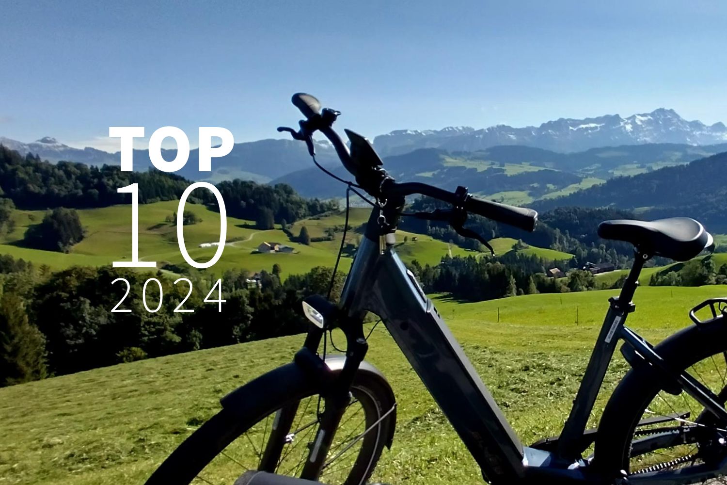 Top 10 2024 Pedelecs & E-Bikes