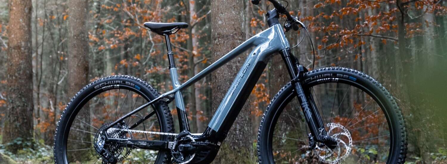 Simplon Cure :e 2025