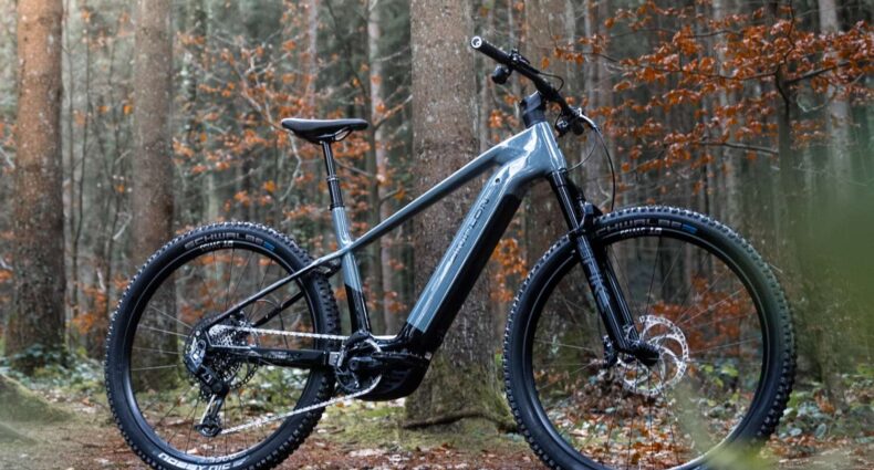 Simplon Cure :e 2025