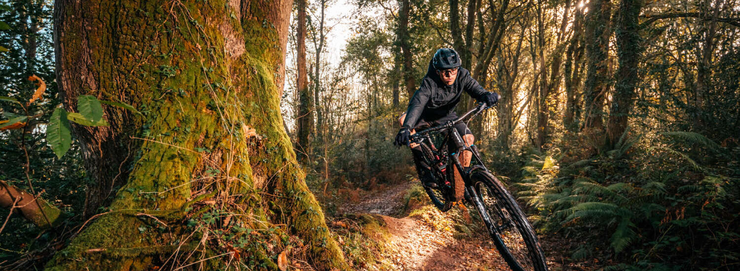 MMR Bikes Quercus 2025