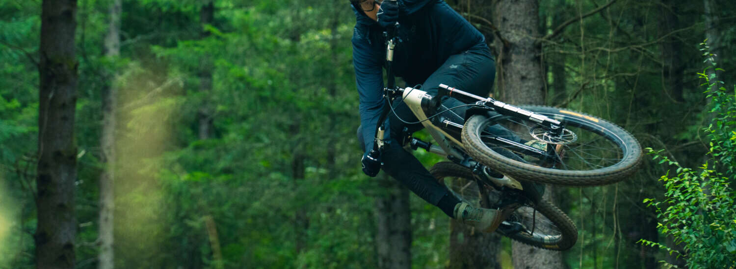 Crestline 2025 E-MTB
