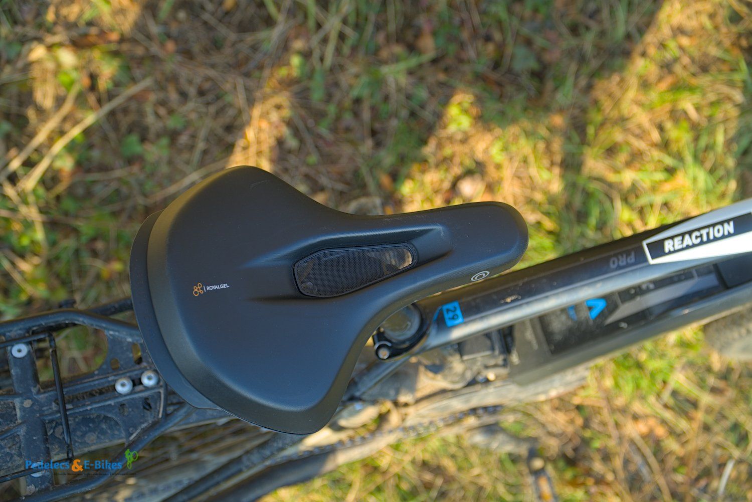 Selle Royal On Open Moderate 2024 Test