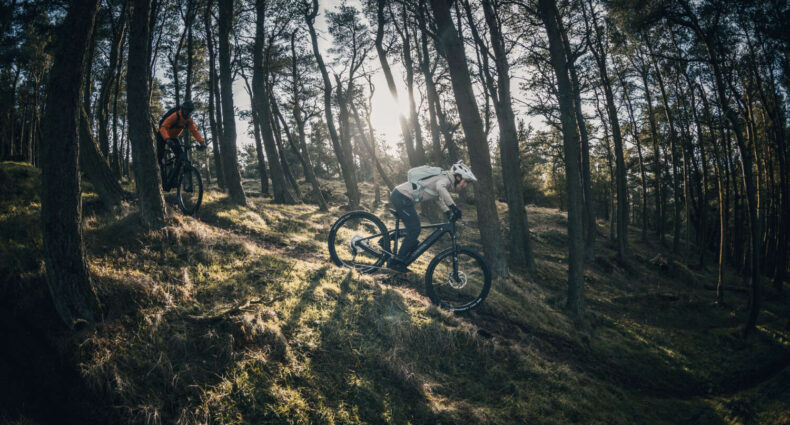 Canyon GrandCanyon:ON 2025