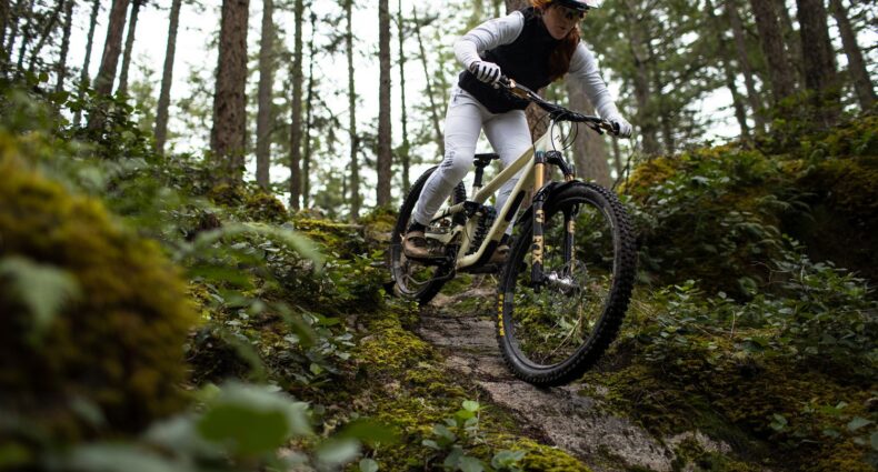 Fox 36 & Fox 36 SL 2025