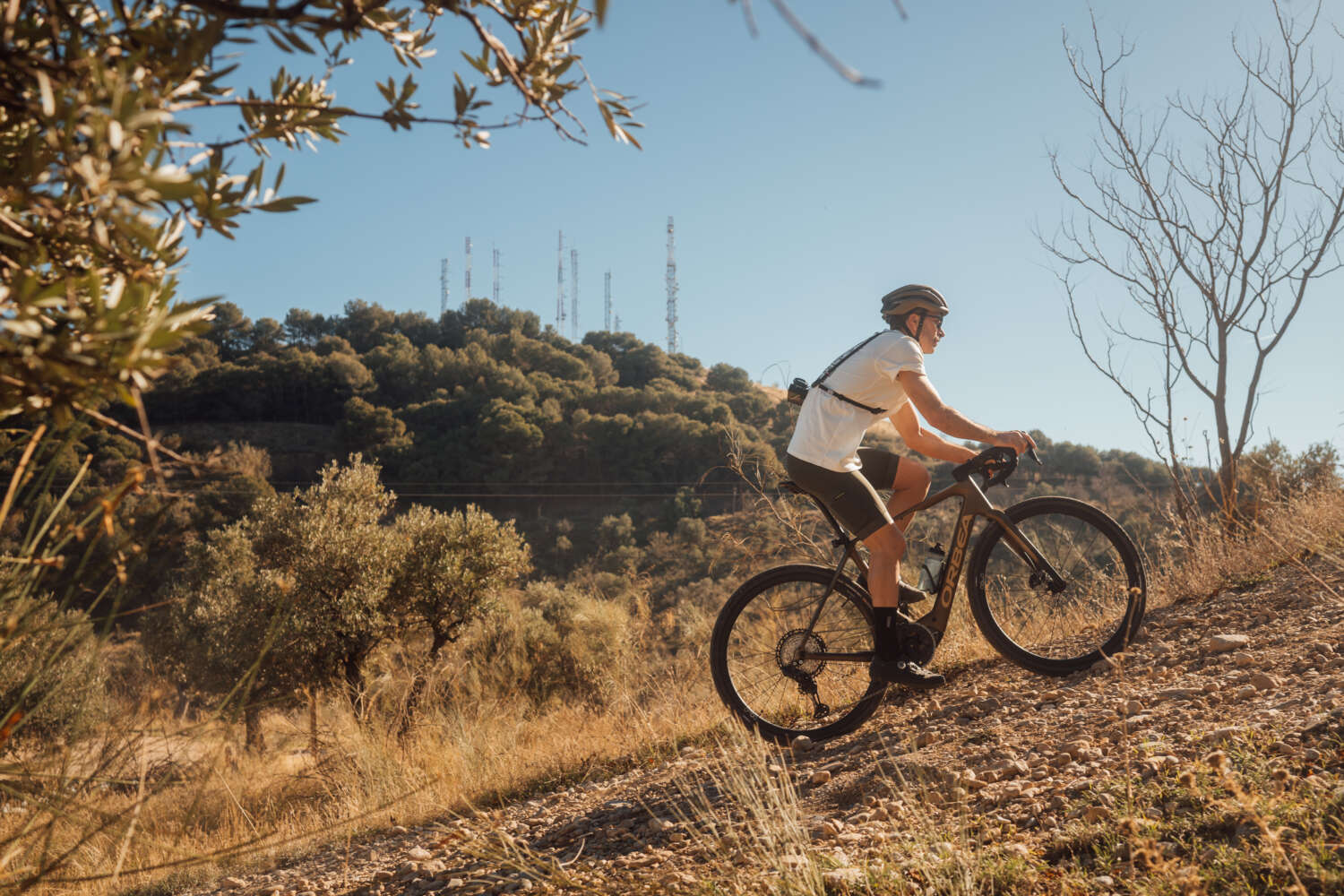 Orbea Denna 2025