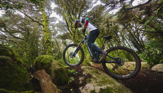 Bosch 2026 – neuer Performance Line CX-R soll Maßstab im eMTB-Segment setzen