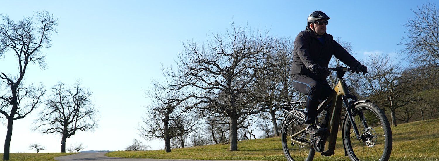 Riese & Müller Delite5 pinion 2025 Test