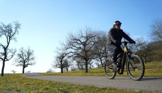 Riese & Müller Delite5 GT pinion – High-Tech-E-Trekkingbike für Alltag und Freizeit
