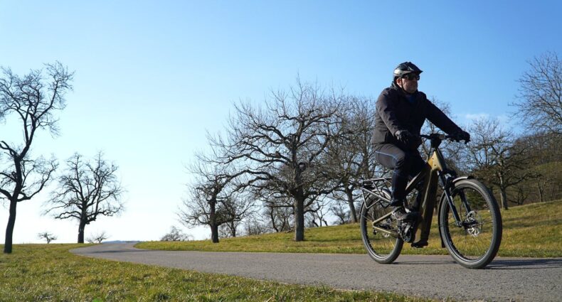 Riese & Müller Delite5 pinion 2025 Test