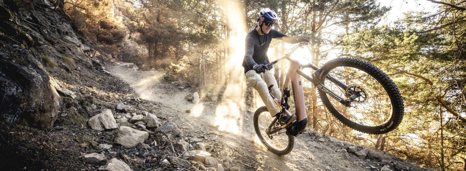 Haibike AllMtn CF TRN/IQ 2025